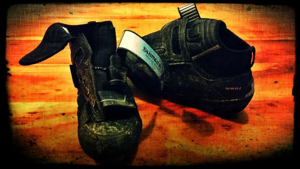 Shimano MW81