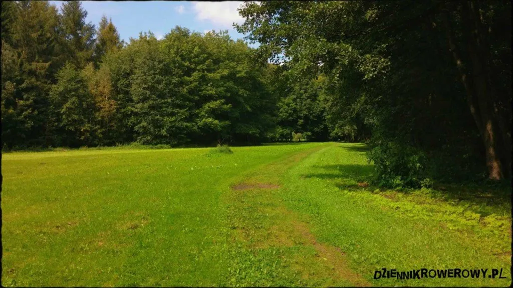 Pałac i park- Radziejowice rowerem